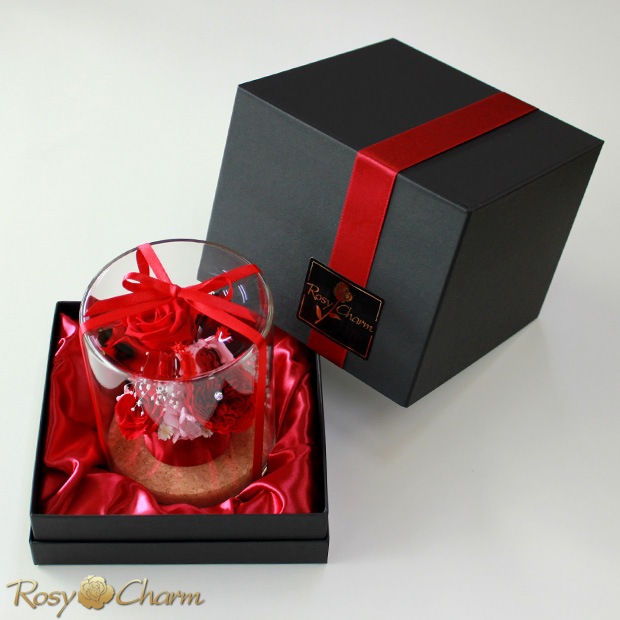 ץꥶ֥ɥե 饹ɡ֤Х3ؤΥХץ쥼ȡ뺧ǰˤ£