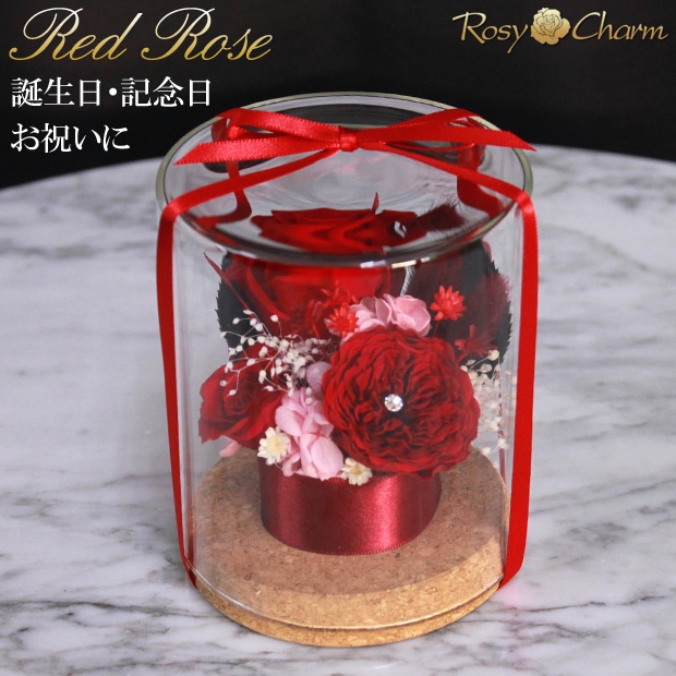 ץꥶ֥ɥե 饹ɡ֤Х3ؤΥХץ쥼ȡ뺧ǰˤ£