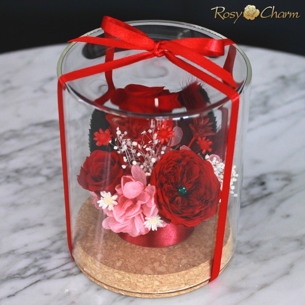 �ץꥶ���֥ɥե� ���饹�ɡ�����֤��Х��3�ؤΥХ���������ץ쥼��ȡ��뺧��ǰ�������ˤ���£���