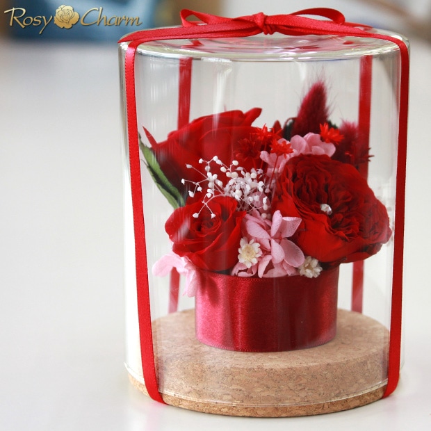 ץꥶ֥ɥե 饹ɡ֤Х3ؤΥХץ쥼ȡ뺧ǰˤ£