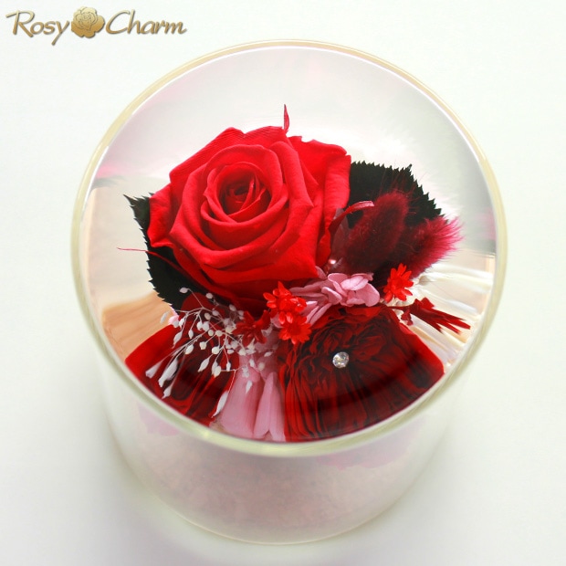 ץꥶ֥ɥե 饹ɡ֤Х3ؤΥХץ쥼ȡ뺧ǰˤ£