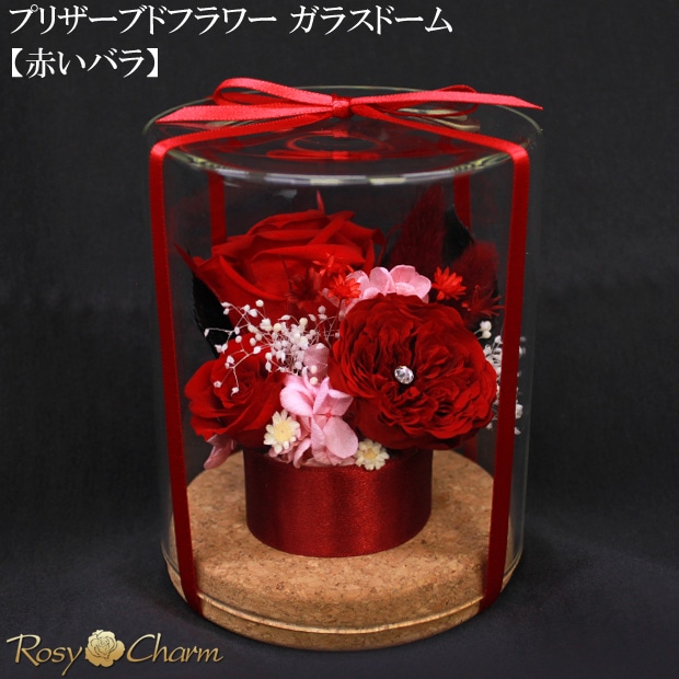 ץꥶ֥ɥե 饹ɡ֤Х3ؤΥХץ쥼ȡ뺧ǰˤ£