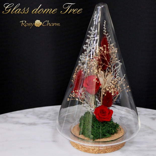 ץꥶ֥ɥե 饹ɡ ĥ꡼ ֤Хåեȥܥå