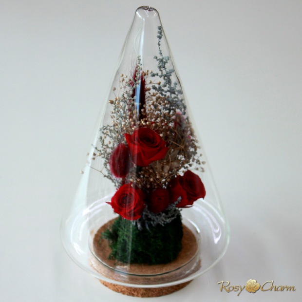 ץꥶ֥ɥե 饹ɡ ĥ꡼ ֤Хåեȥܥå