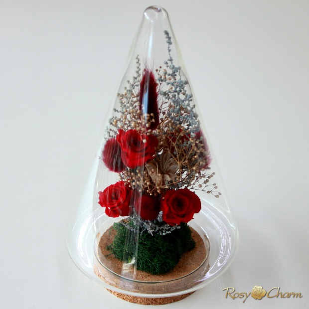 ץꥶ֥ɥե 饹ɡ ĥ꡼ ֤Хåեȥܥå