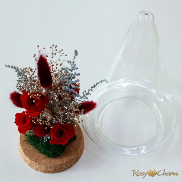 ץꥶ֥ɥե 饹ɡ ĥ꡼ ֤Хåեȥܥå