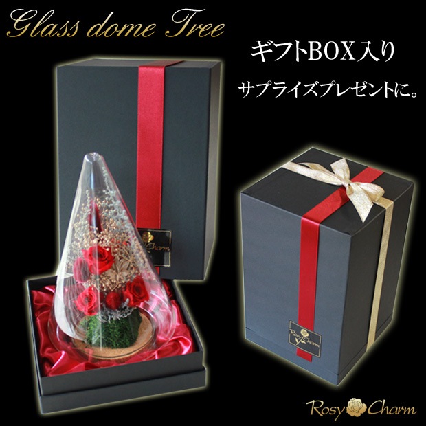 ץꥶ֥ɥե 饹ɡ ĥ꡼ ֤Хåեȥܥå