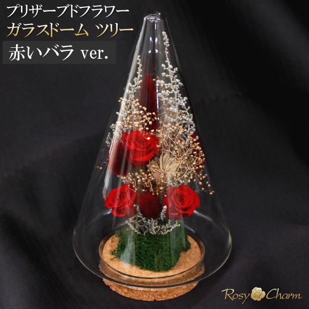 ץꥶ֥ɥե 饹ɡ ĥ꡼ ֤Хåեȥܥå