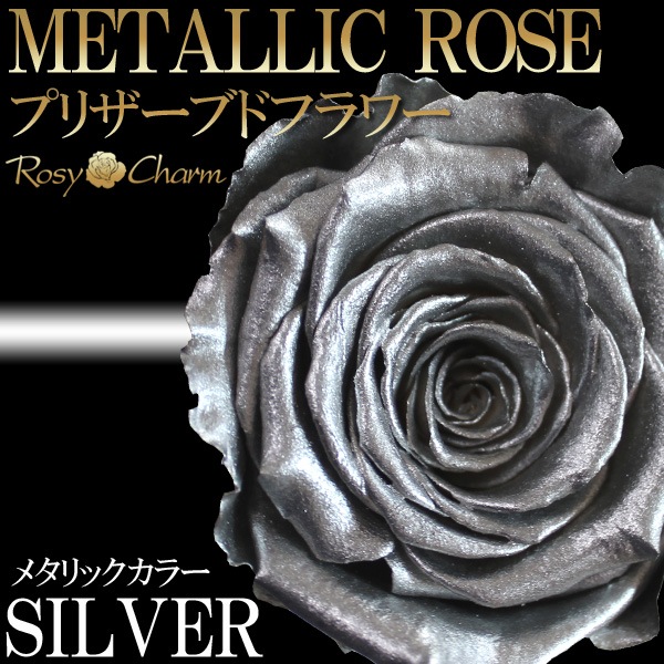 �俧�ΥХ� �ץꥶ���֥ɥե� ���� �ڥ���С��������ۡð��ؤ���