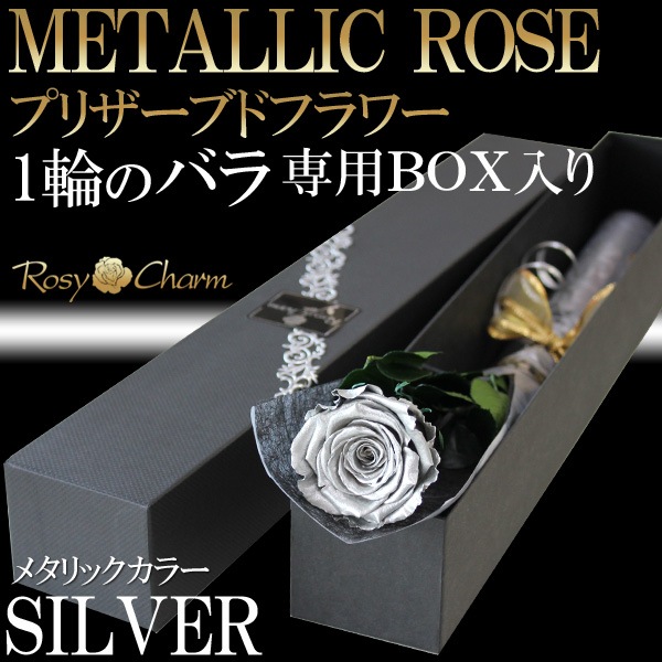 �俧�ΥХ� �ץꥶ���֥ɥե� ���� �ڥ���С��������ۡð��ؤ���