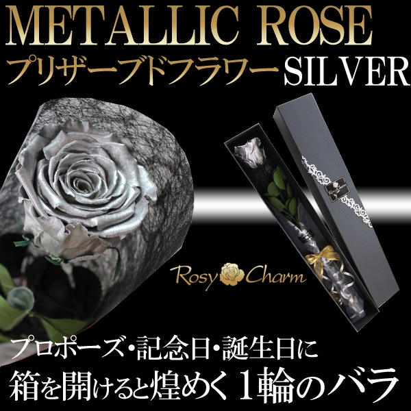 �俧�ΥХ� �ץꥶ���֥ɥե� ���� �ڥ���С��������ۡð��ؤ���