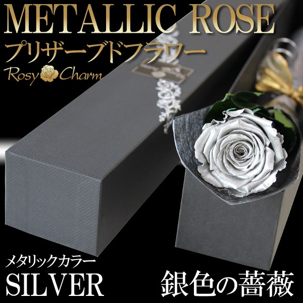 �俧�ΥХ� �ץꥶ���֥ɥե� ���� �ڥ���С��������ۡð��ؤ���