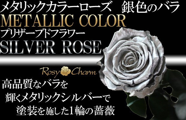 �俧�ΥХ� �ץꥶ���֥ɥե� ���� �ڥ���С��������ۡð��ؤ���