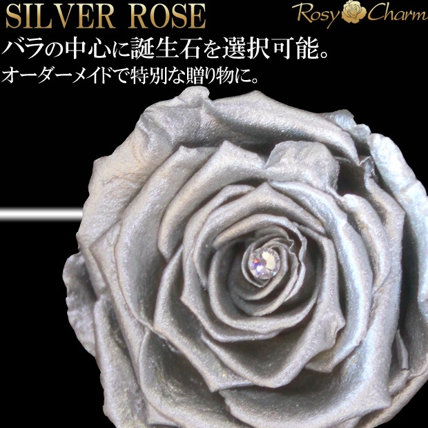 �俧�ΥХ� �ץꥶ���֥ɥե� ���� �ڥ���С��������ۡð��ؤ���