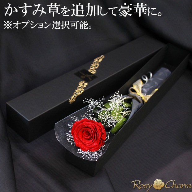 �俧�ΥХ� �ץꥶ���֥ɥե� ���� �ڥ���С��������ۡð��ؤ���