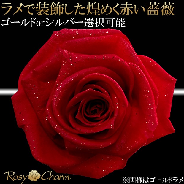 33�ܤΥХ�β�«�åץ��ݡ������뺧��ǰ����£�����̤��֤��Х�����ޤ��Ѥ�äƤ⤢�ʤ��򰦤���