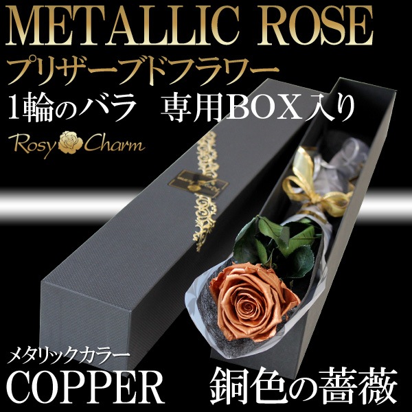 ƼΥХ ץꥶ֥ɥե  ڥåѡۡðؤ