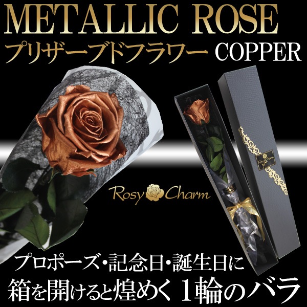 ƼΥХ ץꥶ֥ɥե  ڥåѡۡðؤ