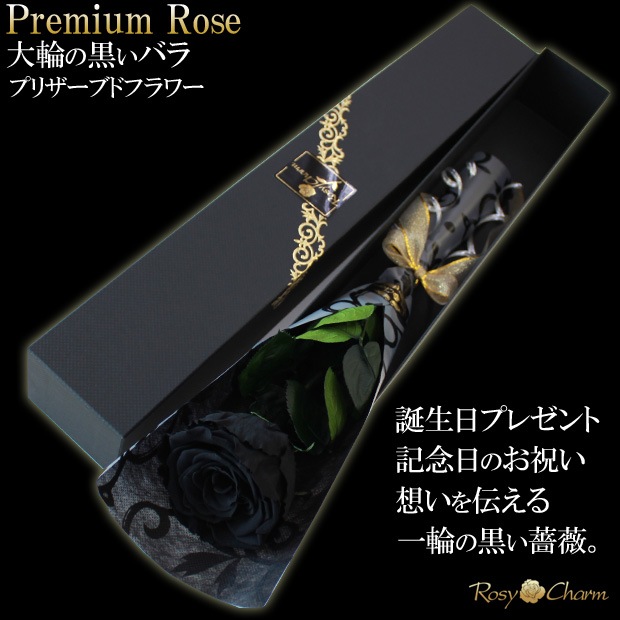 ���ؤι����Х飱�ܡåץ�ߥ�������� �ץꥶ���֥ɥե��ð��ؤ��� �֥�å���Ȣ�����