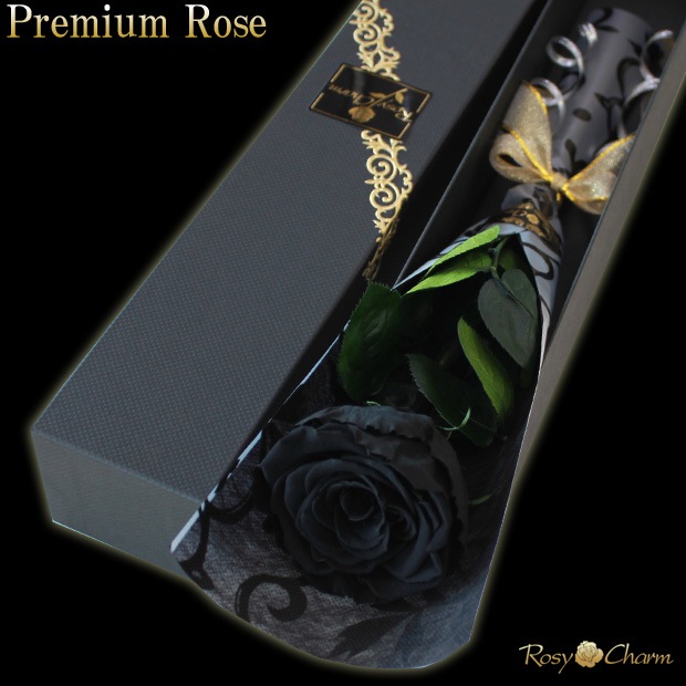 ���ؤι����Х飱�ܡåץ�ߥ�������� �ץꥶ���֥ɥե��ð��ؤ��� �֥�å���Ȣ�����