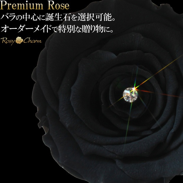 ���ؤι����Х飱�ܡåץ�ߥ�������� �ץꥶ���֥ɥե��ð��ؤ��� �֥�å���Ȣ�����