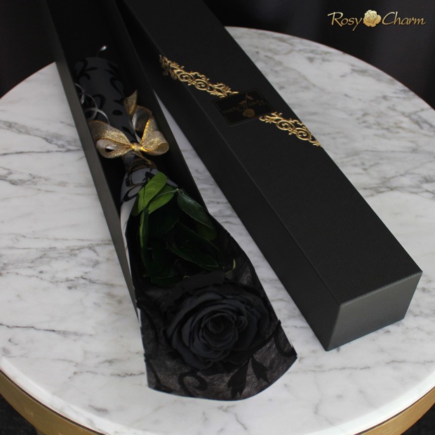 ���ؤι����Х飱�ܡåץ�ߥ�������� �ץꥶ���֥ɥե��ð��ؤ��� �֥�å���Ȣ�����