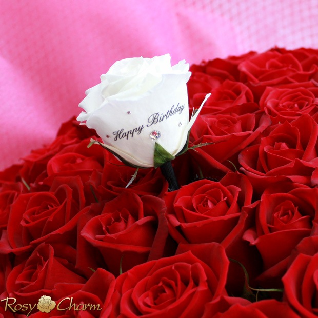 �Х�β�«�ߥå��� �ԥ󥯤��֡å�å������������б���14�ܡ�108�ܤޤ��ܿ������ǽ��