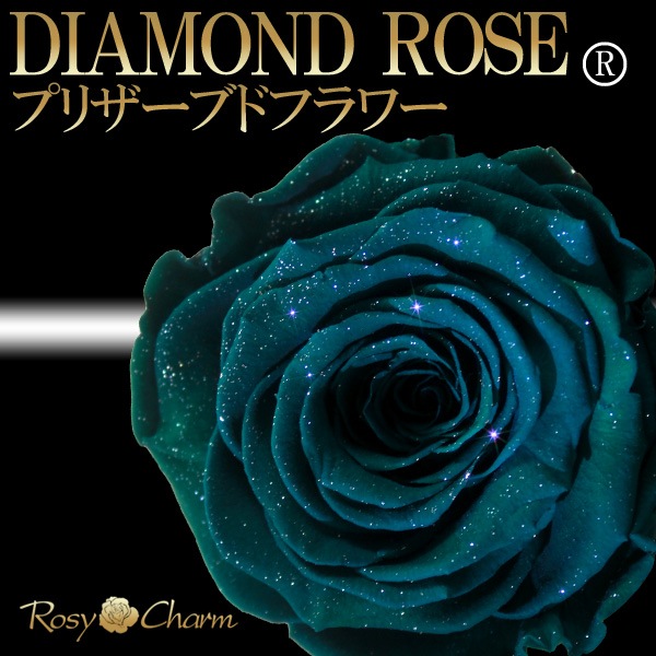 ��������ɥ����� �ץꥶ���֥ɥե� �п����鯡�1�ܡð��ؤΥХ�ڥ��ե�Ȣ�����