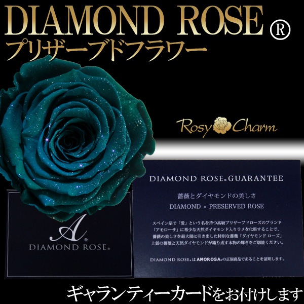 ��������ɥ����� �ץꥶ���֥ɥե� �п����鯡�1�ܡð��ؤΥХ�ڥ��ե�Ȣ�����