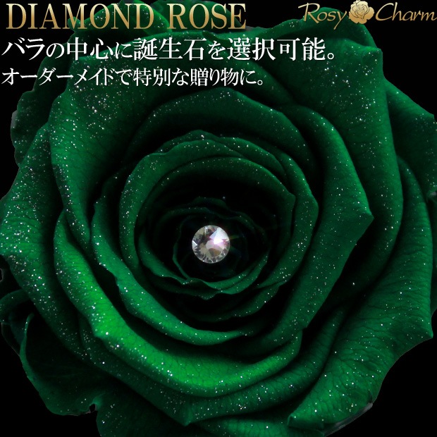 ��������ɥ����� �ץꥶ���֥ɥե� �п����鯡�1�ܡð��ؤΥХ�ڥ��ե�Ȣ�����