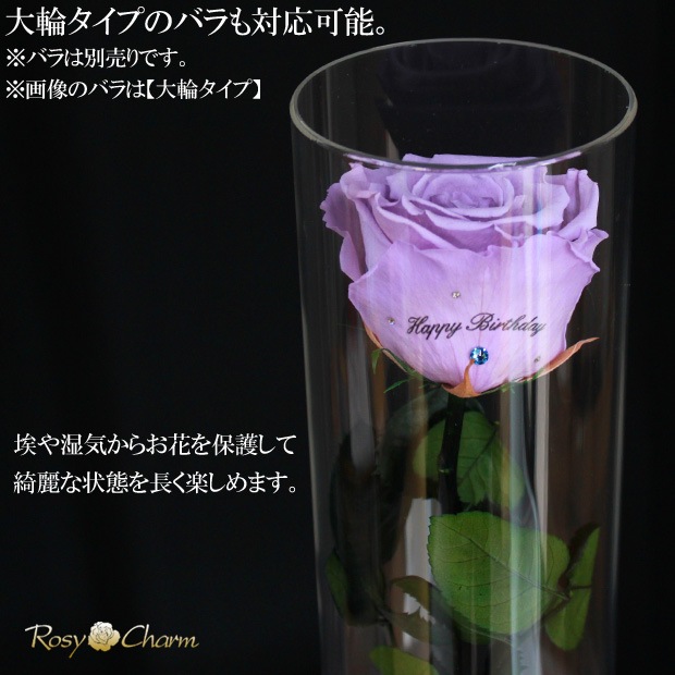 ������륷������ ��������դ��ڥ���ver.�ۥХ���ܥǥ����ץ쥤�ѡʥץꥶ���֥ɥե� ���ƥ������ѡˢ����ջ��ढ���