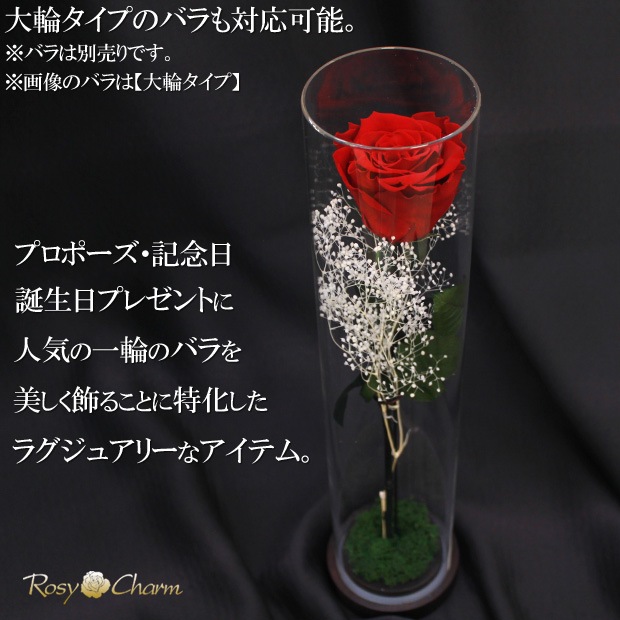 ������륷������ ��������դ��ڥ���ver.�ۥХ���ܥǥ����ץ쥤�ѡʥץꥶ���֥ɥե� ���ƥ������ѡˢ����ջ��ढ���