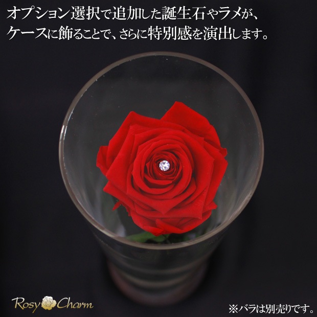 ������륷������ ��������դ��ڥ���ver.�ۥХ���ܥǥ����ץ쥤�ѡʥץꥶ���֥ɥե� ���ƥ������ѡˢ����ջ��ढ���