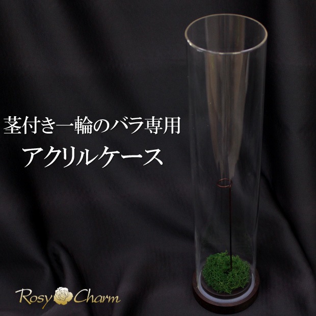 ������륷������ ��������դ��ڥ���ver.�ۥХ���ܥǥ����ץ쥤�ѡʥץꥶ���֥ɥե� ���ƥ������ѡˢ����ջ��ढ���