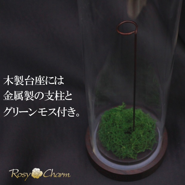 ������륷������ ��������դ��ڥ���ver.�ۥХ���ܥǥ����ץ쥤�ѡʥץꥶ���֥ɥե� ���ƥ������ѡˢ����ջ��ढ���