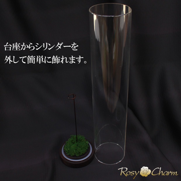 ������륷������ ��������դ��ڥ���ver.�ۥХ���ܥǥ����ץ쥤�ѡʥץꥶ���֥ɥե� ���ƥ������ѡˢ����ջ��ढ���