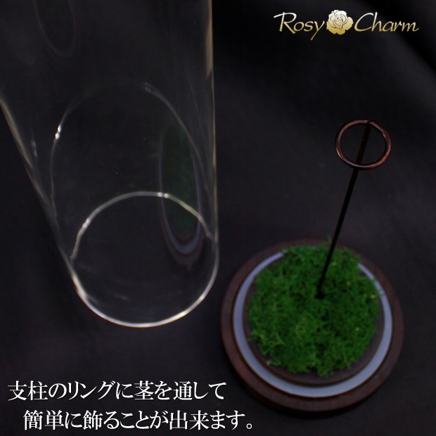 ������륷������ ��������դ��ڥ���ver.�ۥХ���ܥǥ����ץ쥤�ѡʥץꥶ���֥ɥե� ���ƥ������ѡˢ����ջ��ढ���