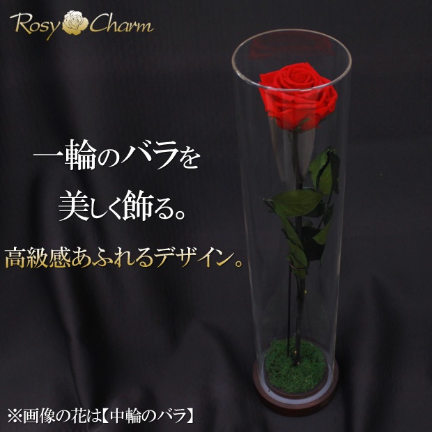 ������륷������ ��������դ��ڥ���ver.�ۥХ���ܥǥ����ץ쥤�ѡʥץꥶ���֥ɥե� ���ƥ������ѡˢ����ջ��ढ���