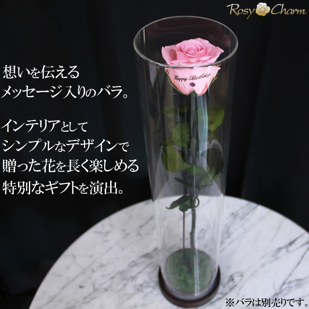 ������륷������ ��������դ��ڥ���ver.�ۥХ���ܥǥ����ץ쥤�ѡʥץꥶ���֥ɥե� ���ƥ������ѡˢ����ջ��ढ���