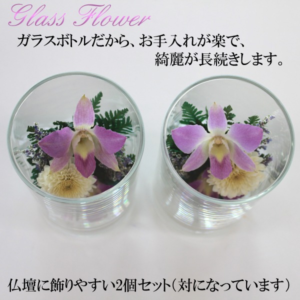 �������Ѥβ� ���饹�ե��Σ�.1�ʥɥ饤�ե���