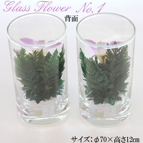 �������Ѥβ� ���饹�ե��Σ�.1�ʥɥ饤�ե���