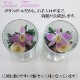 �������Ѥβ� ���饹�ե��Σ�.1�ʥɥ饤�ե���