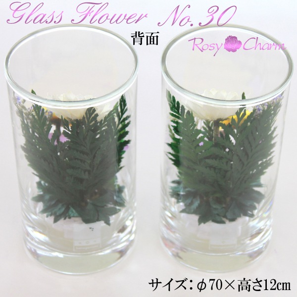 �������Ѥβ� ���饹�ե��Σ�.30�ʥɥ饤�ե���