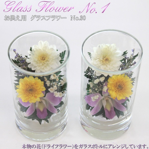 �������Ѥβ� ���饹�ե��Σ�.30�ʥɥ饤�ե���