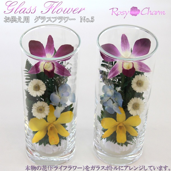 �������Ѥβ� ���饹�ե��Σ�.5�ʥɥ饤�ե���