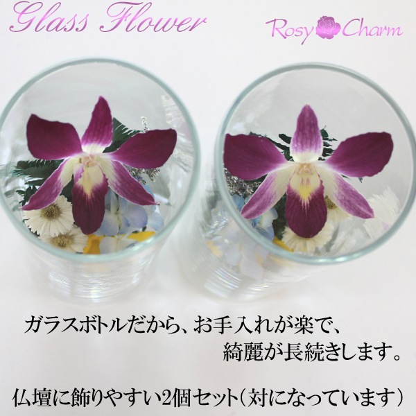 �������Ѥβ� ���饹�ե��Σ�.5�ʥɥ饤�ե���