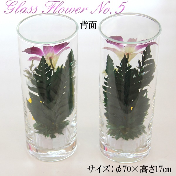 �������Ѥβ� ���饹�ե��Σ�.5�ʥɥ饤�ե���