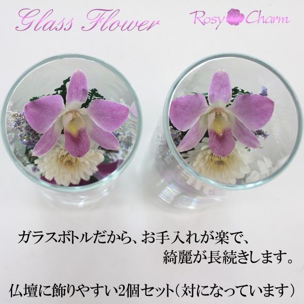 �������Ѥβ� ���饹�ե��Σ�.3�ʥɥ饤�ե���