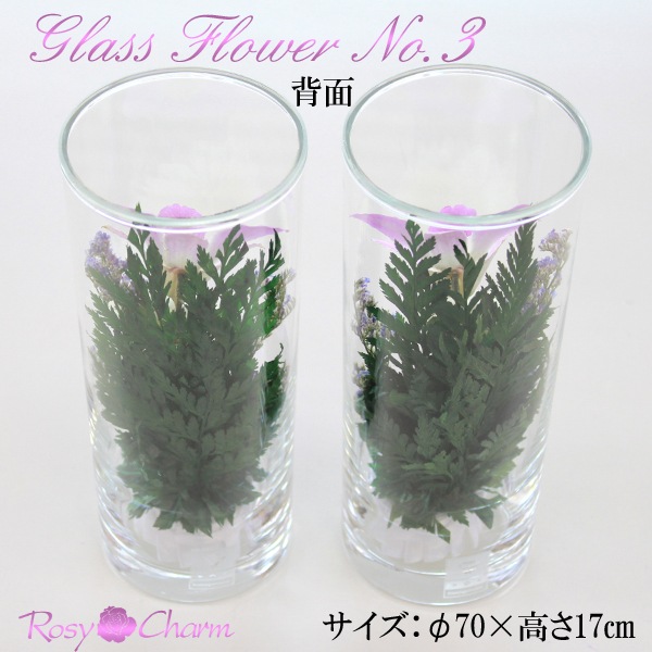 �������Ѥβ� ���饹�ե��Σ�.3�ʥɥ饤�ե���