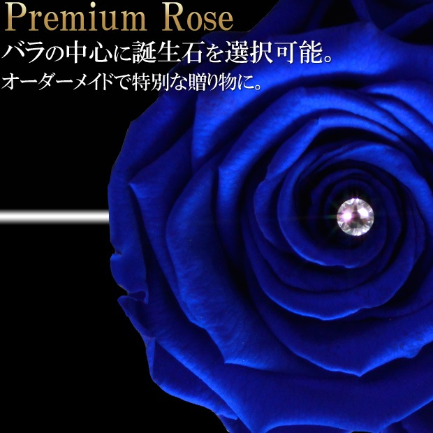 Ĥ鯡ץߥ1ܥץꥶ֥ɥեؤΥХءڥեȢ